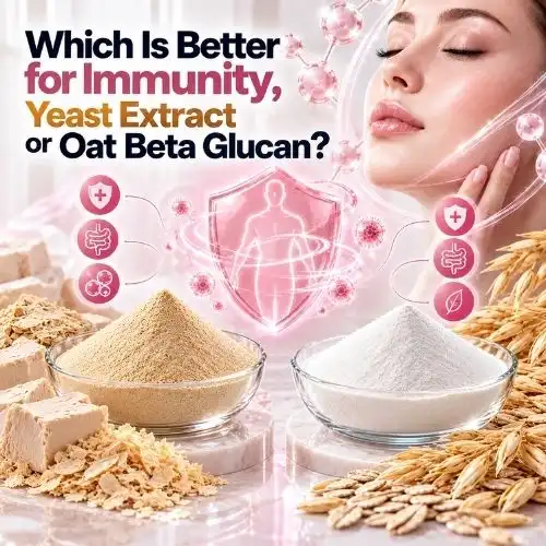 Which Is Better for Immunity, Yeast Extract or Oat Beta Glucan?